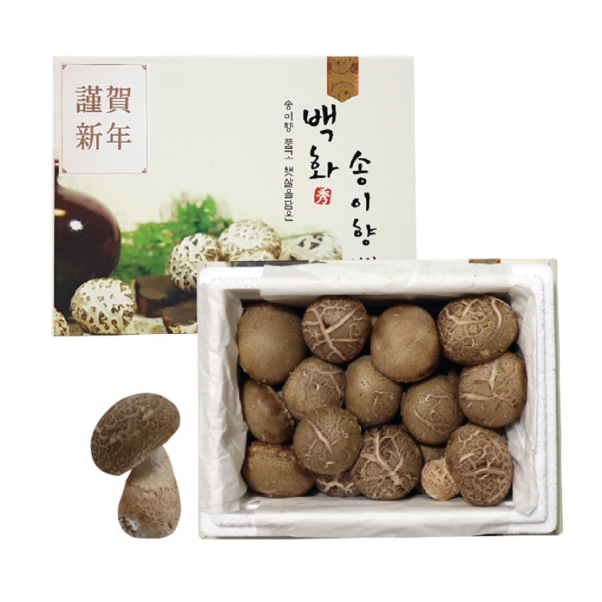 [홍천] 송이향 버섯 선물세트 - 강원곳간.com