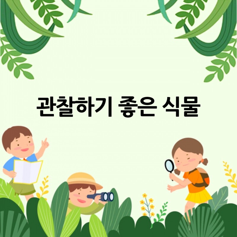 관찰하기 좋은 식물 4종 원예체험키트 반려식물 테이블야자 홍콩야자 - 강원곳간.com
