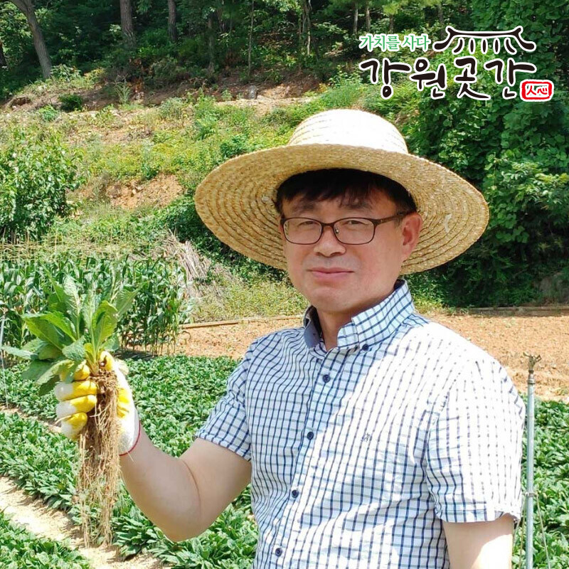 기관지 비염에 좋은 곰보배추 삼백초로 만든 비여타파 세트 (30g x 30포) - 강원곳간.com